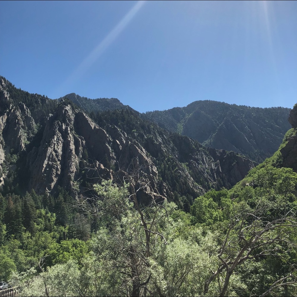 Meet your Posher, Debbie